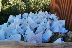 La Polica Local de Santa Luca sanciona a un vecino que dej ms de 50 sacos de escombros en una parcela en Hoya la Negra  