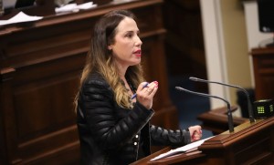 El PSOE califica de chapuza el Decreto de Vivienda de Canarias